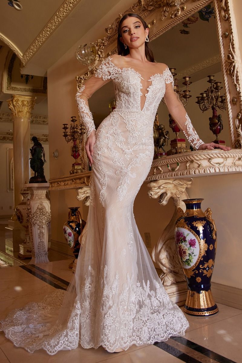 Sheer lace shop mermaid wedding dress