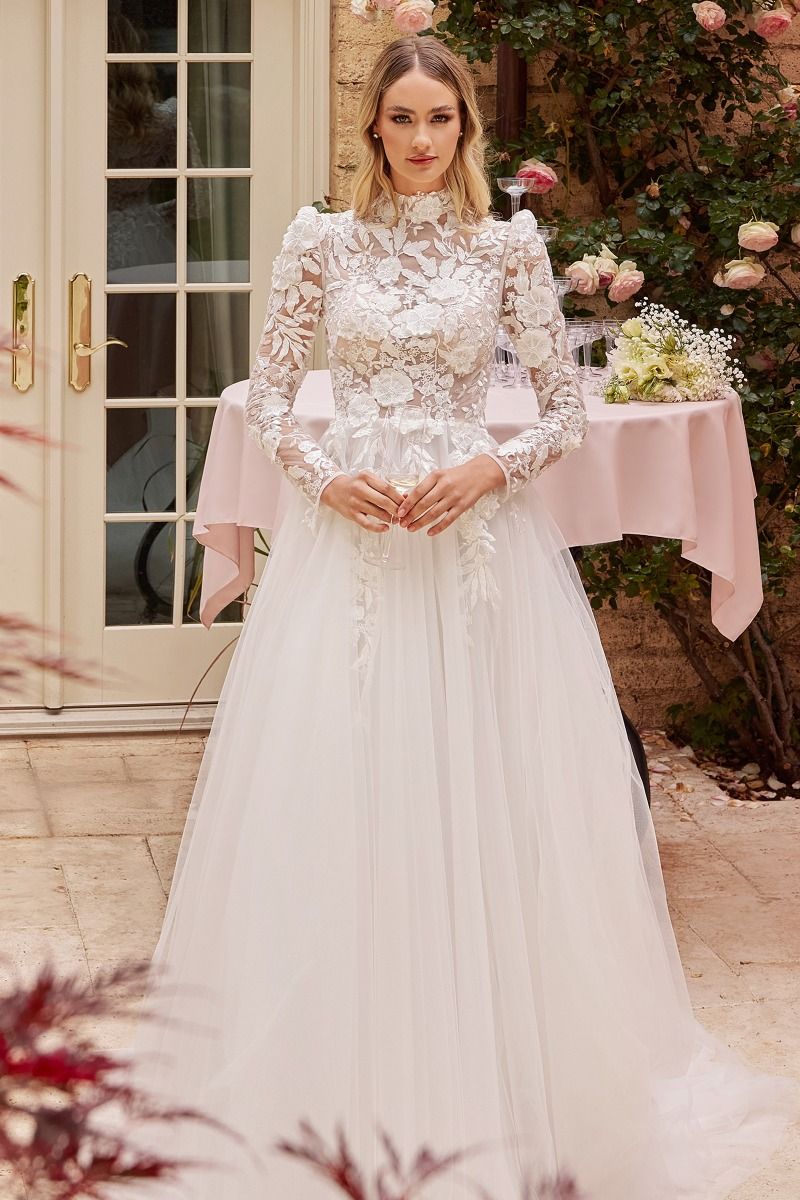 Cinderella wedding outlet dress with sleeves