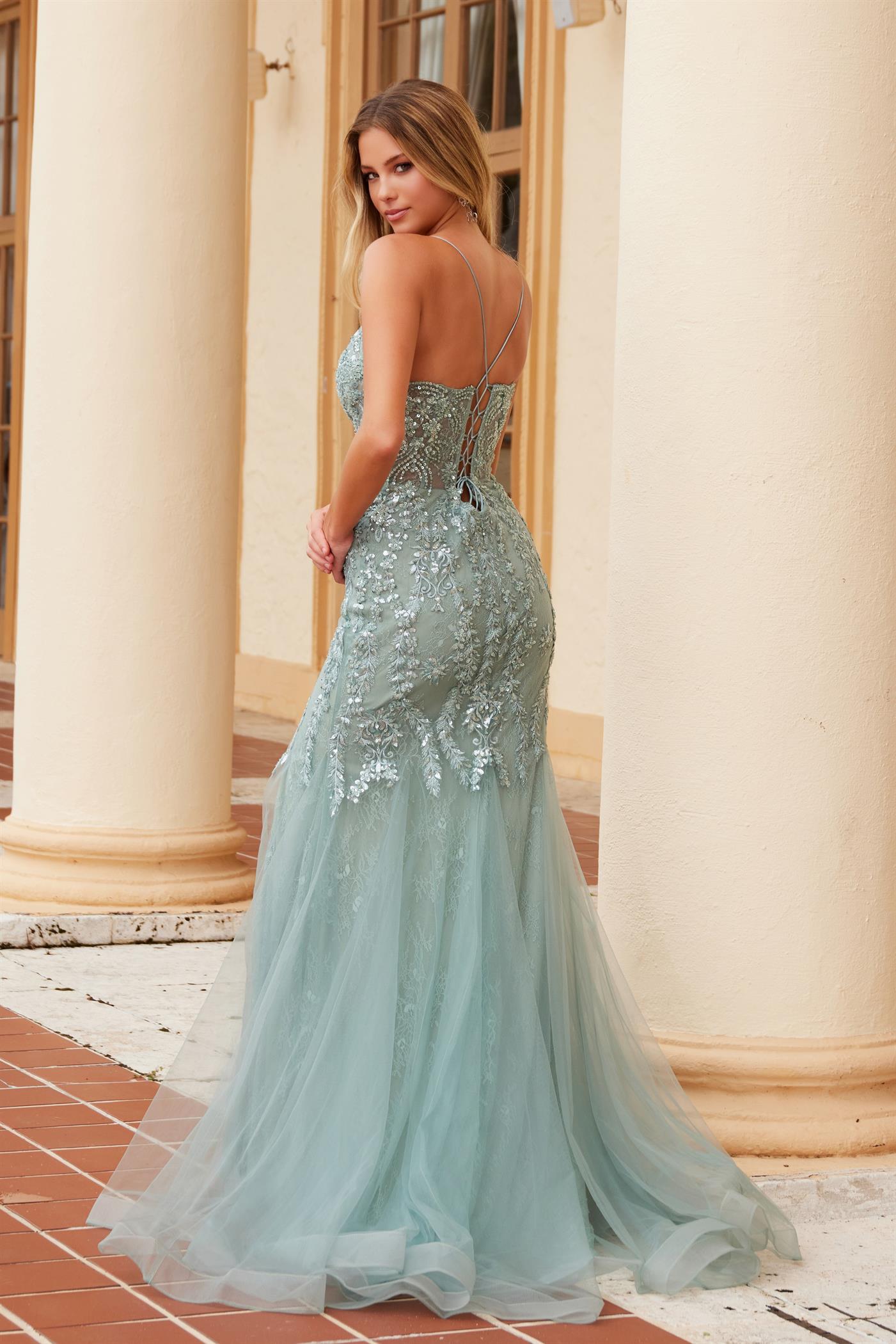 TAMANNA Beaded Applique Fitted Mermaid Prom & Formal Dress