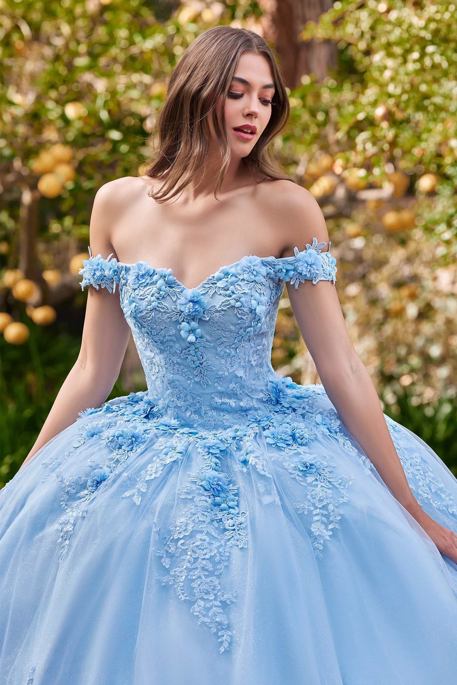 CATALISSE Floral Glitter Applique Quinceañera Ball Gown Dress