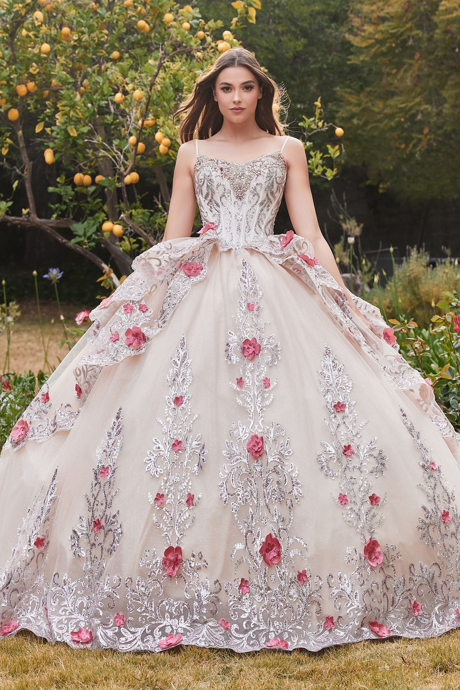 DAHLIANA Sheer Lace Layered QUINCEAÑERA Ball Gown Dress