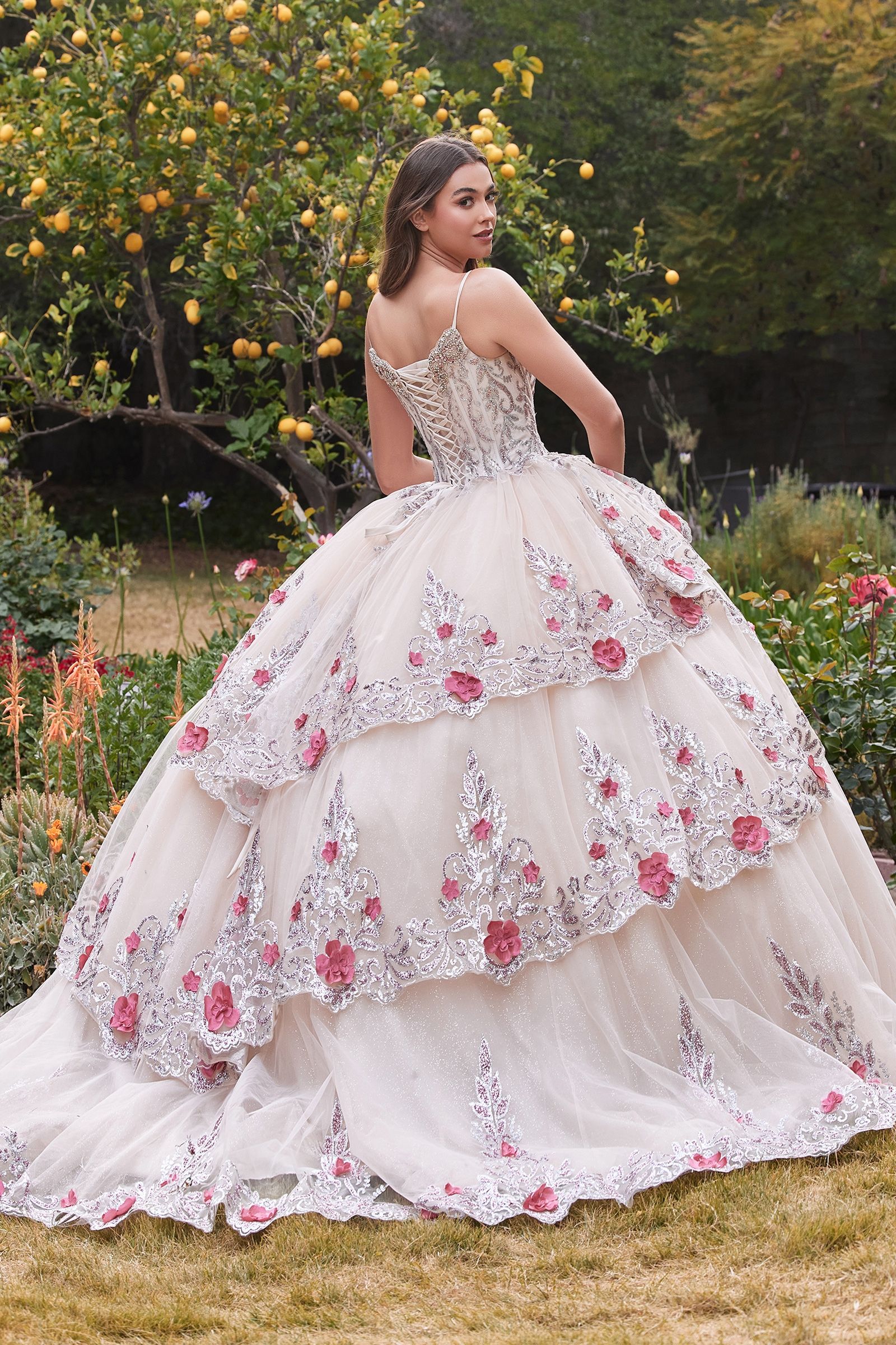 DAHLIANA Sheer Lace Layered QUINCEAÑERA Ball Gown Dress