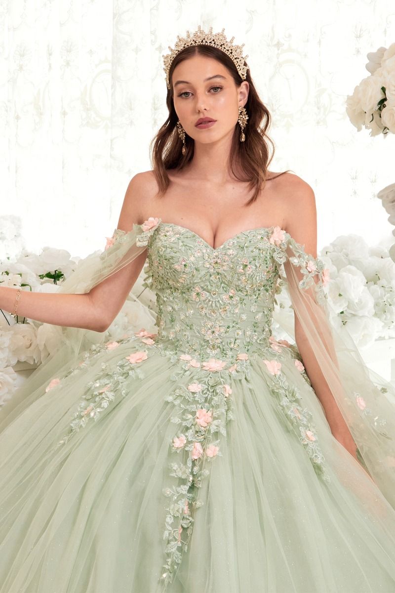 ROSELINA Off Shoulder Tulle Sleeve Quinceañera Ball Gown Dress