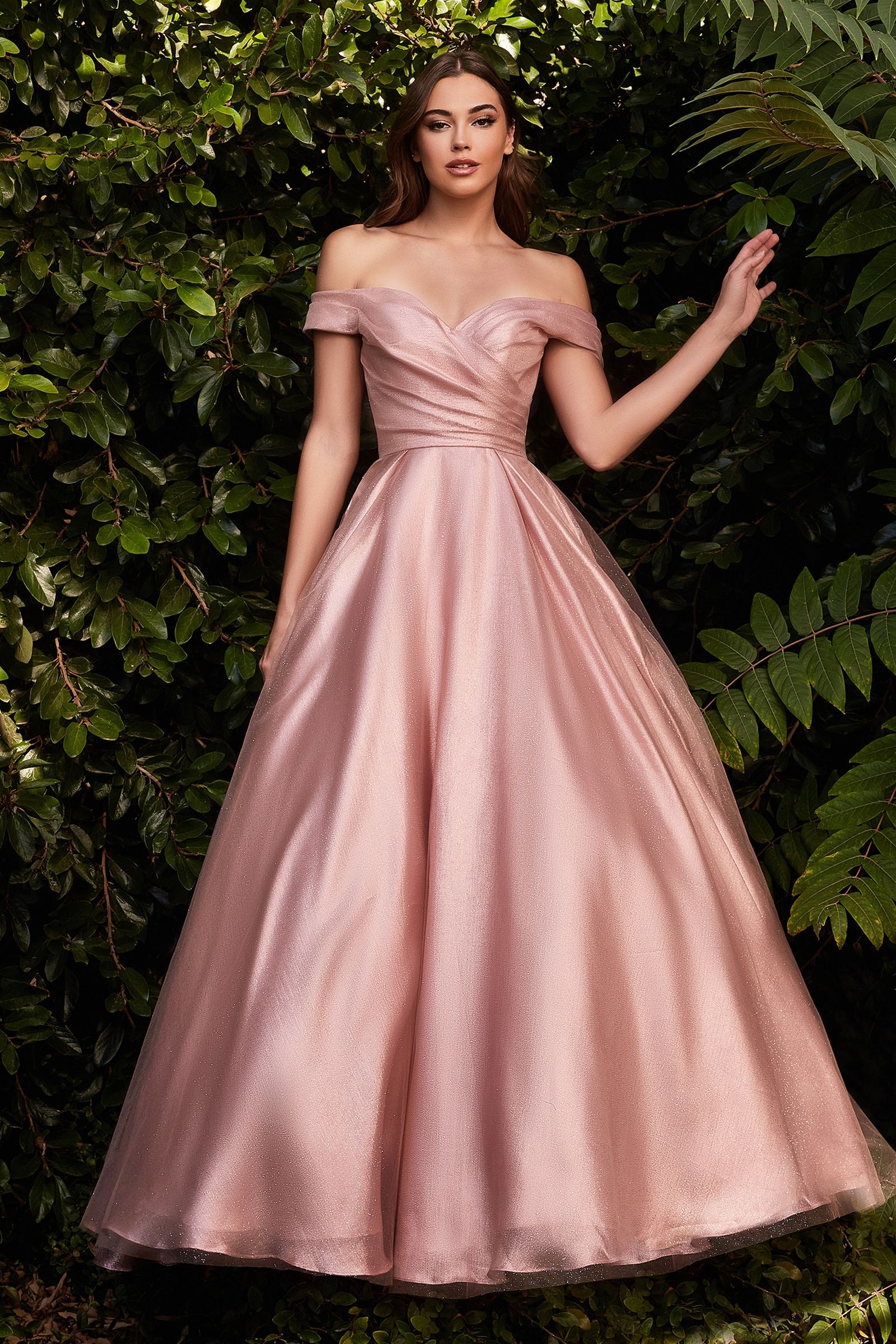 ARIANA Shimmer Off Shoulder Ballgown Formal Dress